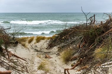 Similar image 21646073