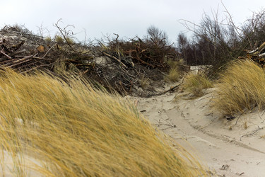 Similar image 21646079