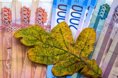 Similar image 21646080