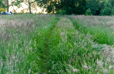 Similar image 21642471