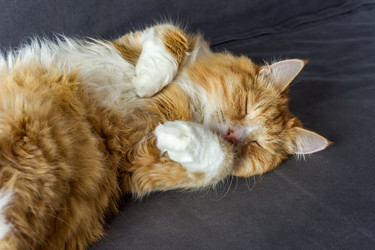 Similar image 21642472