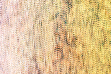 Similar image 21642475