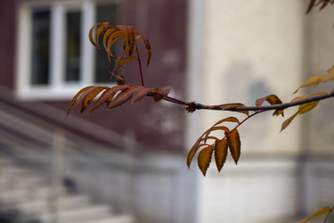 Similar image 21655283