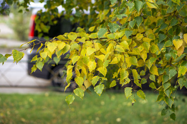 Similar image 21655286