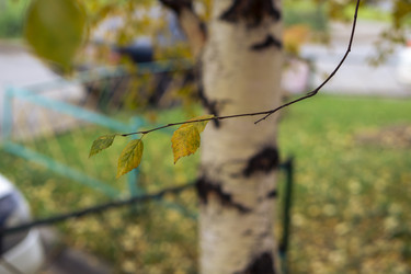 Similar image 21655287