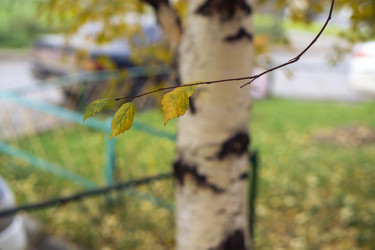 Similar image 21655288