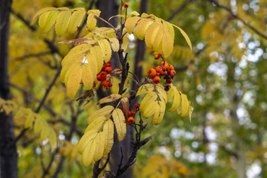 Similar image 21655291