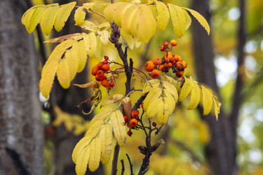 Similar image 21655293