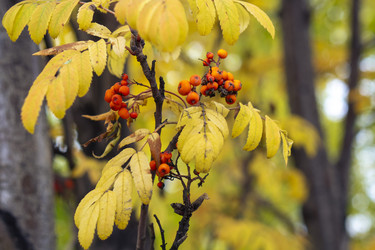 Similar image 21655294