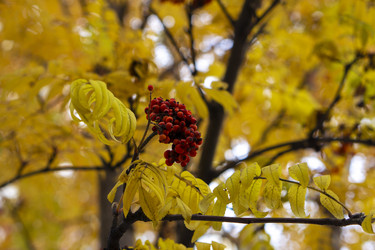 Similar image 21655295