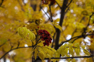 Similar image 21655445