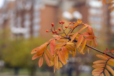 Similar image 21655446