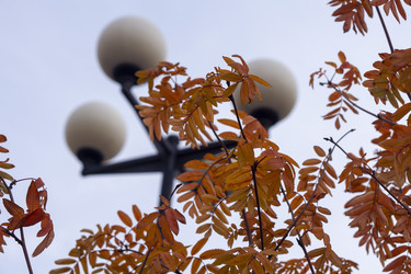 Similar image 21655447