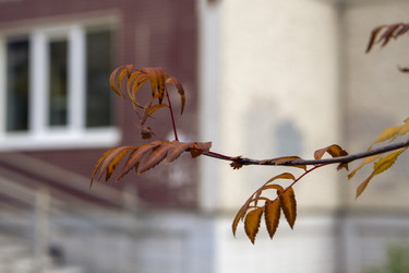 Similar image 21655448