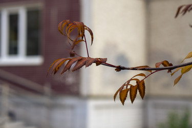 Similar image 21655449