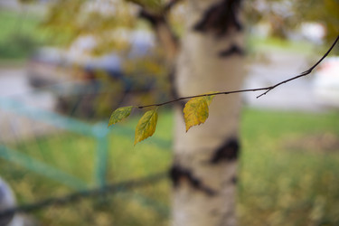 Similar image 21655451