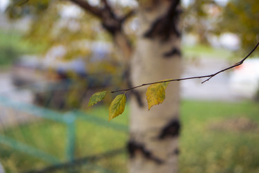 Similar image 21649004