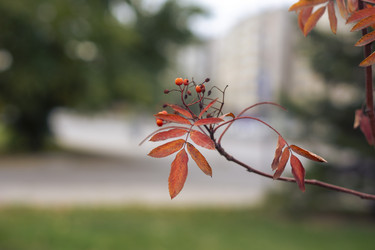 Similar image 21655455