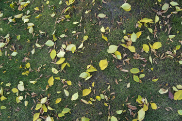 Similar image 21655456