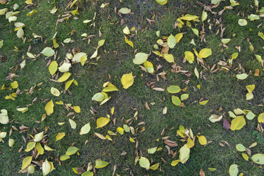 Similar image 21655458