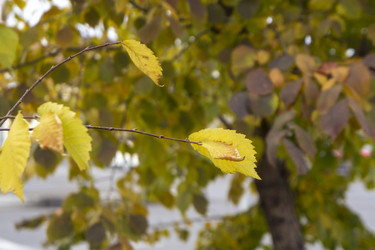 Similar image 21655459