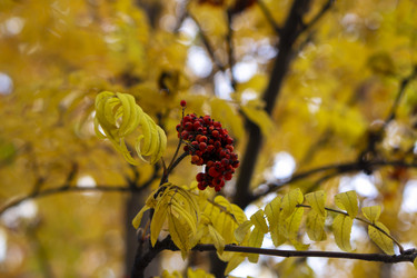 Similar image 21655460