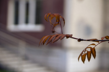 Similar image 21655461