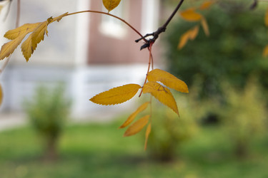 Similar image 21655462