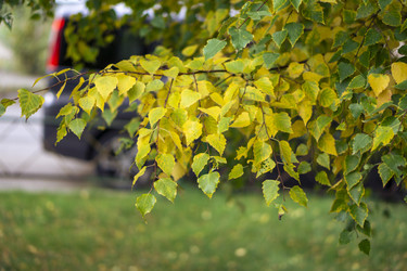 Similar image 21655463