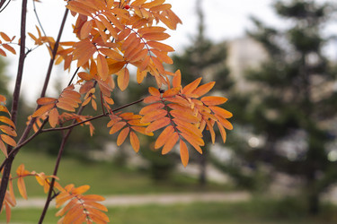 Similar image 21655467