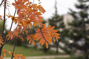 Similar image 21655469