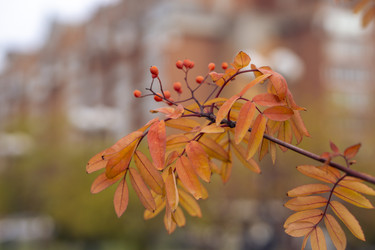 Similar image 21655470