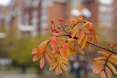 Similar image 21655471