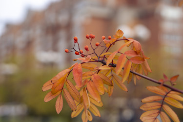 Similar image 21655472