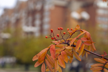 Similar image 21655473