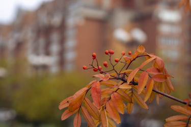 Similar image 21655474