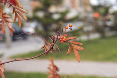 Similar image 21655475