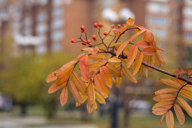 Similar image 21649005