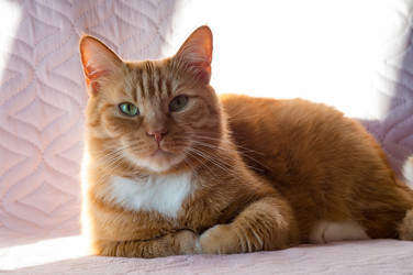 Similar image 21638569