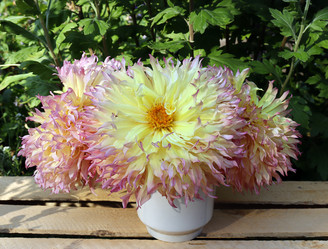 Similar image 21637522