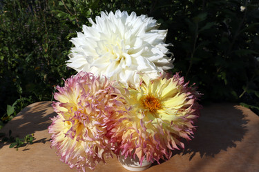 Similar image 21637523