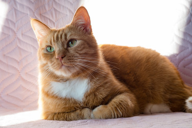 Similar image 21638584