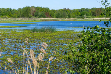 Similar image 21638590