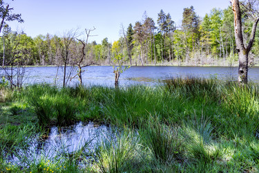 Similar image 21638597