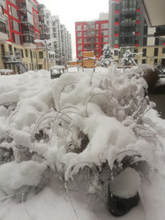 Similar image 21637759