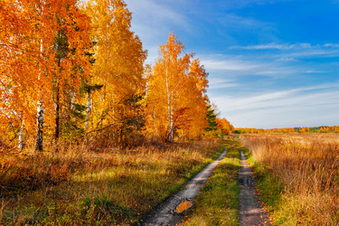 Similar image 21638598