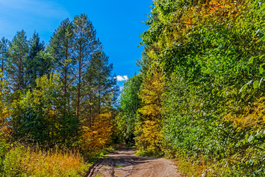 Similar image 21638601