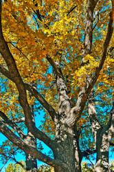 Similar image 21638602