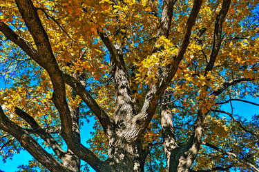 Similar image 21638603