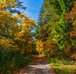 Similar image 21638608